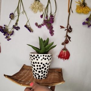 Wicker catchall tray